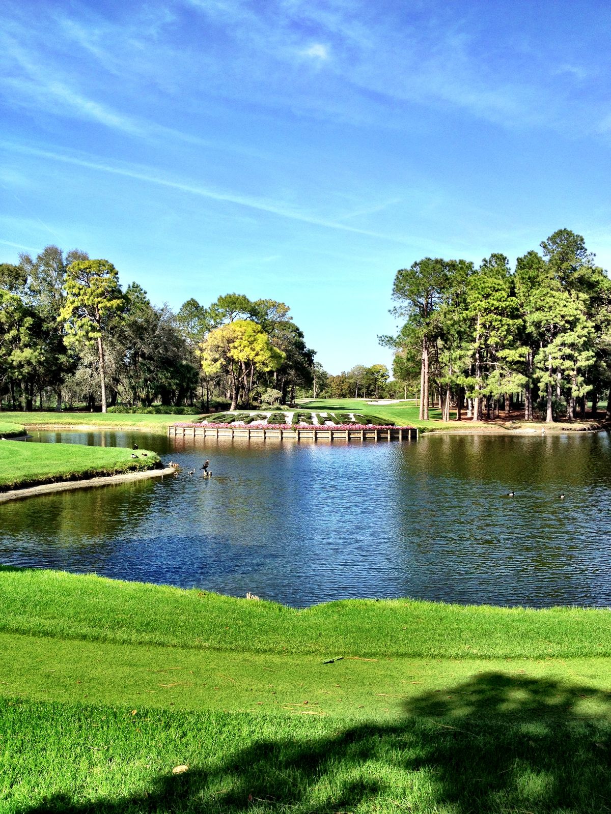 <p>Lake and Stream Management</p>