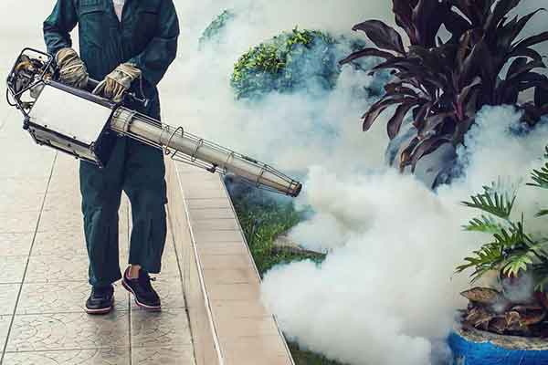 <p>Fumigation and Pest Control Service</p>